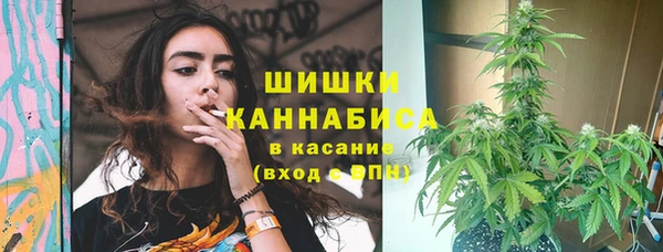 эйфоретик Белокуриха